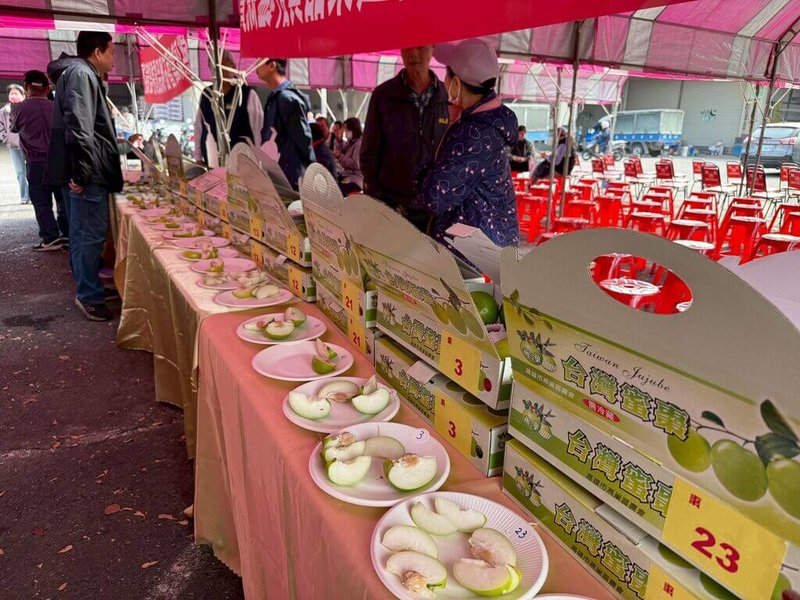 高雄市燕巢區農會21日辦理「番石榴及蜜棗品質評鑑競賽」，吸引許多優秀農友參賽，展現燕巢的果品實力。（高雄市農業局提供）中央社記者蔡孟妤傳真　115年1月21日