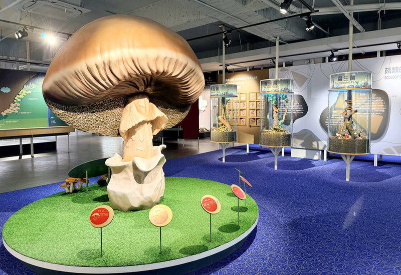 農曆春節將屆，台中霧峰區農會歡迎民眾在春節連假期間，造訪有豐富食農教育的霧峰菇類產學館，體驗農業與文化交織的在地旅遊。（霧峰農會提供）中央社記者蘇木春傳真　115年1月21日