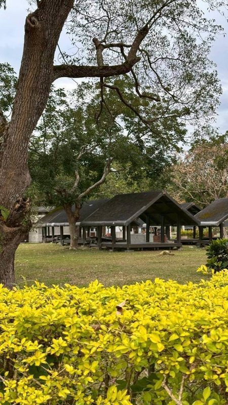 花蓮瑞穗露營區因颱風受創，交通部觀光署東部海岸國家風景區管理處封閉整修2年，優化營區、無障礙設施等，日前順利委外招租，預計2月10日重新對外開放。（東管處提供）中央社記者張祈傳真　115年1月22日