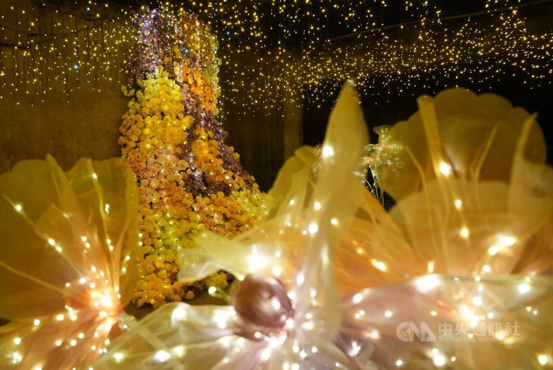 2026屏東燈節打造4大燈區,23日晚間正式登場,在縣民公園燈區的藝術燈飾「花影之境」以垂掛燈串營造夜空繁星意象,搭配高低錯落、色彩柔美的花卉燈飾,格外夢幻吸睛。中央社記者黃郁菁攝 115年1月23日