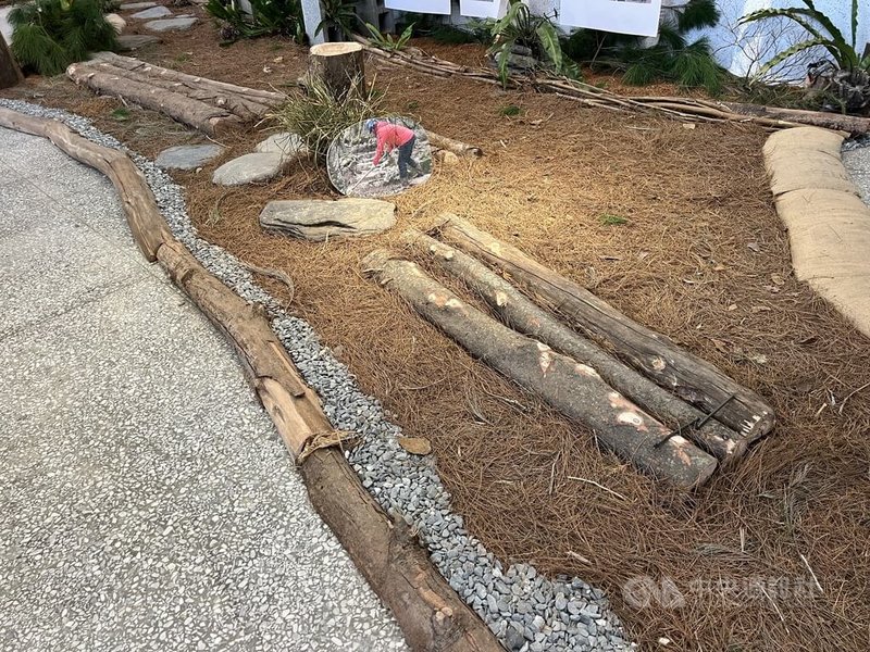 嘉明湖國家步道因高山氣候變化及山友增加使用頻繁，部分路段須修復或補強，林保署台東分署與台灣千里步道協會合作，就地取材手作步道，24日起在台東舉辦10週年特展，展示歷年成果並介紹參與的工作夥伴。中央社記者盧太城攝　115年1月24日