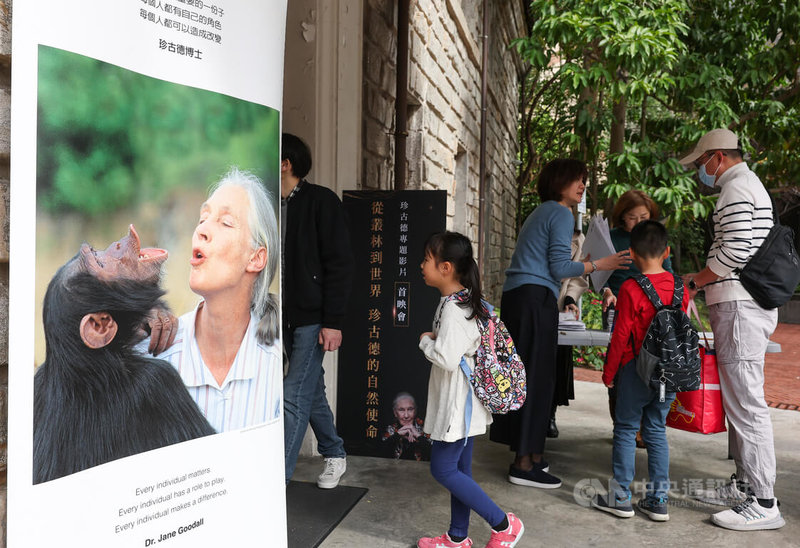 英國著名黑猩猩保育專家珍古德（Jane Goodall）於2025年辭世，以珍古德為主角的專題影片「從叢林到世界－珍古德的自然使命」24日在台北舉行首映會，吸引不少民眾報名觀賞。中央社記者謝佳璋攝　115年1月24日