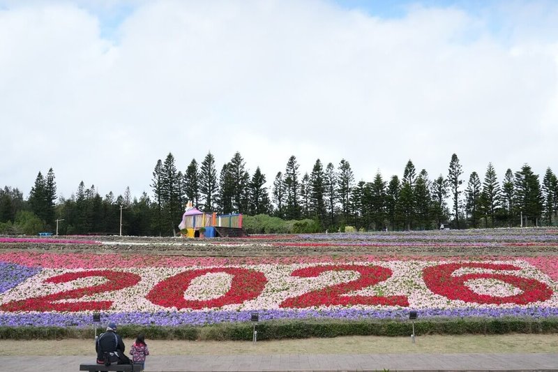 澎湖冬日花海遊樂園「2026花現新澎友」24日在澎湖休憩園區正式對外開放，繽紛絢麗的壯麗花海將一直開放至3月3日元宵節過後，歡迎民眾把握機會到訪走春。（澎湖縣政府提供）中央社　115年1月24日