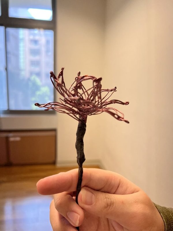 教育部補助中原大學辦理「表達性藝術療育課程」，透過凹折鐵絲等多元媒材創作活動，引導特殊教育學生學會調適情緒。（教育部提供）中央社記者許秩維傳真　115年1月25日