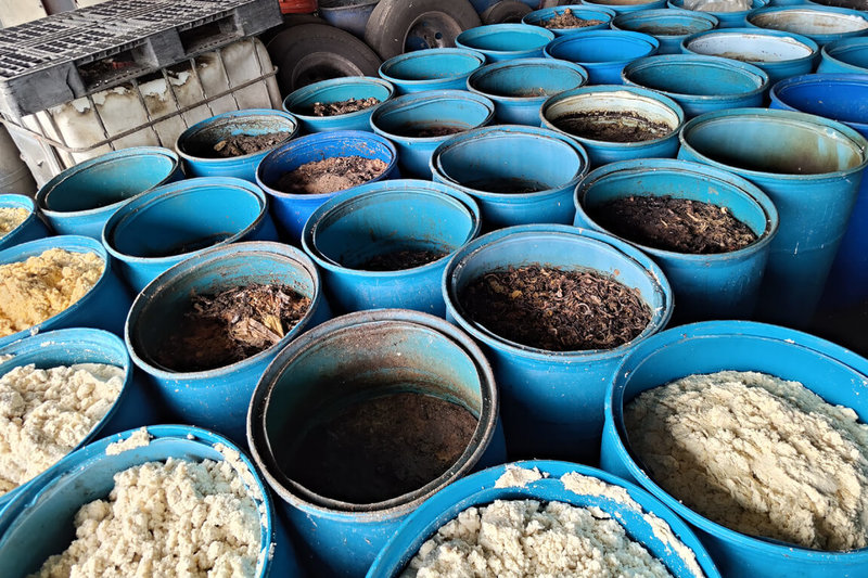 台南市政府在仁德區查獲某畜牧場違規收受廚餘，依違反動物傳染病防治條例及廢棄物清理法開罰。（台南市政府提供）中央社記者楊思瑞傳真　115年1月26日