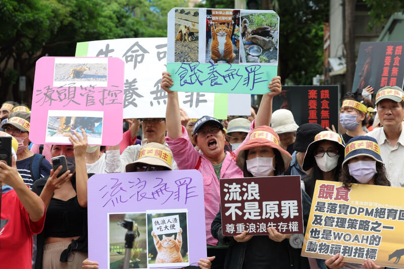 動保人士去年9月26日集結農業部前抗議「禁餵」入法，強調支持動保與社區安全，但政策必須建立在科學和人道原則之上，禁止餵食會讓問題雪上加霜。（中央社檔案照片）