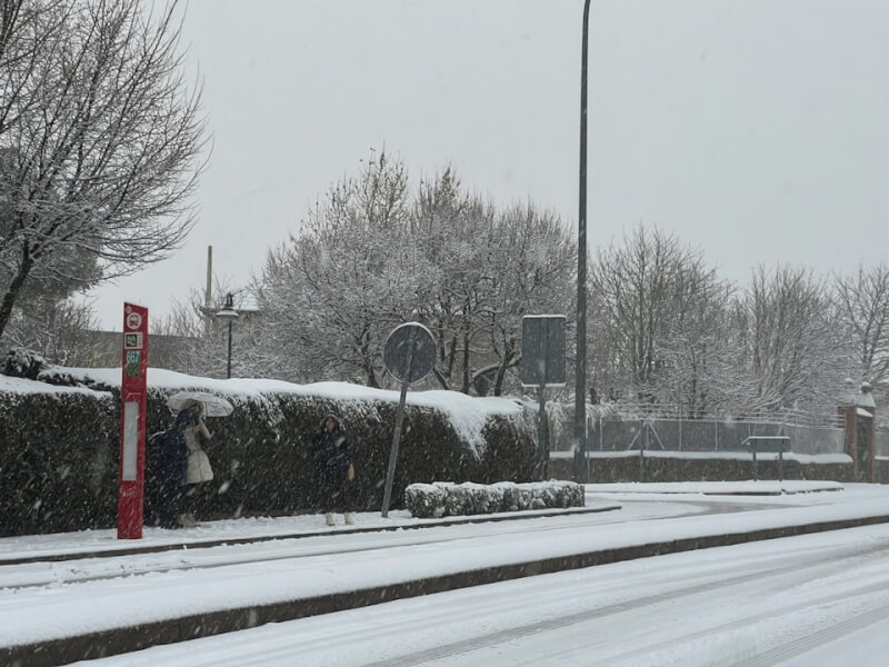 馬德里郊外民眾在雪中等候公車。（路透社）