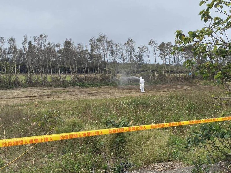 苗栗縣政府30日表示，連日來在後龍外埔發現禽流感斃死雞隻現場及周邊加強清消，並針對周邊3公里內禽場全面採樣送驗，結果均為陰性，顯示疫情風險獲控管。（苗栗縣政府提供）中央社記者管瑞平傳真　115年1月30日