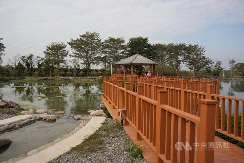 屏東縣新埤鄉貓頭鷹共融公園生態埤塘，由藍色東港溪保育協會協力改造，規劃種植台灣原生種植物；工程保留既有埤塘地貌，並於埤塘一側新增自然式親水水道。中央社記者黃郁菁攝　115年1月30日