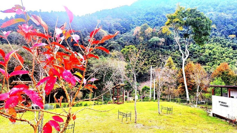 新竹縣政府表示，五峰鄉鹿林濤營地日前獲核發農牧用地露營場設立登記，成為縣內第8家合法露營場。（新竹縣政府提供）中央社記者郭宣彣傳真　115年1月30日