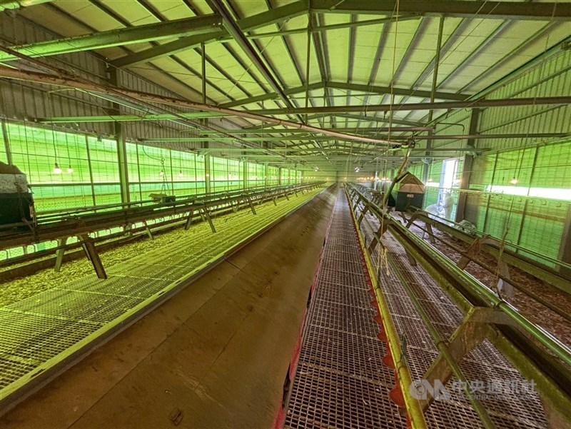 台中市豐原區豐康牧場隱匿禽流感疫情。（中央社檔案照片）