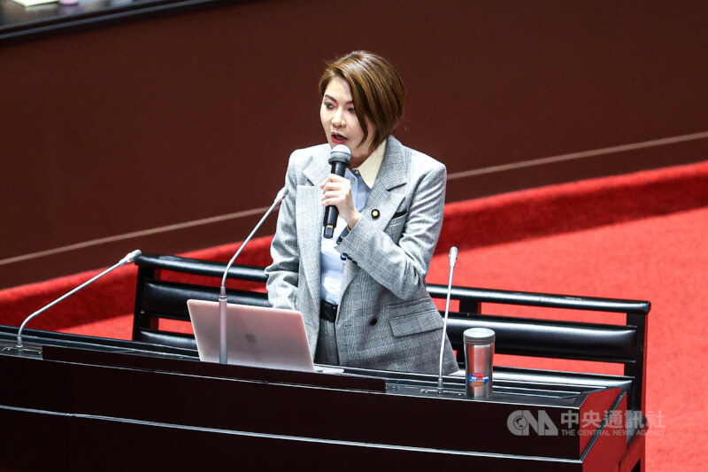 國民黨立委陳菁徽。（中央社檔案照片）