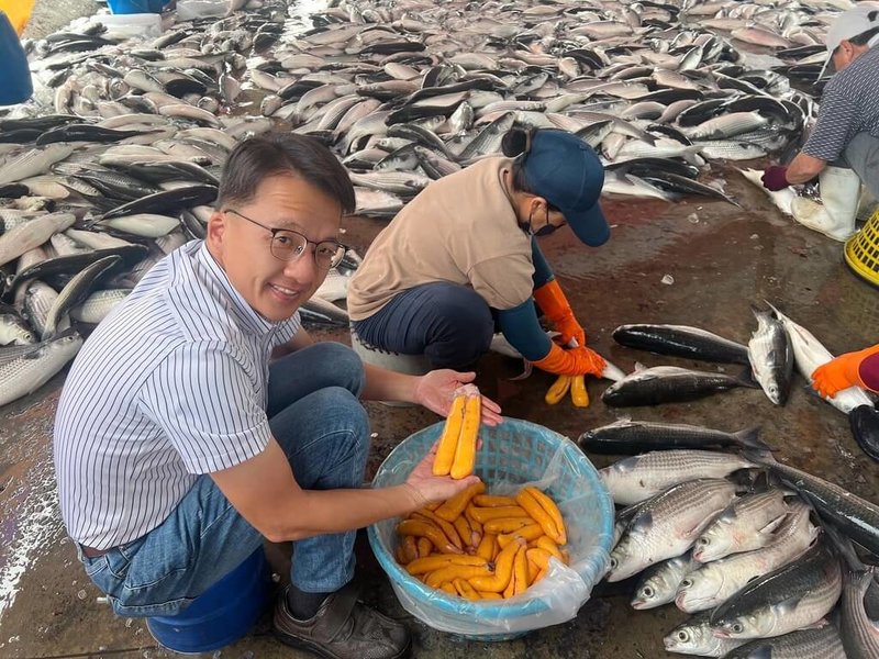 嘉義縣政府農業處漁業科長張建成(左)1日說,台灣是全世界唯一能從人工養殖、取卵,到製成烏魚子一氣呵成的國家,凝聚養殖技術、職人工藝與世代累積的經驗,成為台灣最具代表性水產品之一。(張建成提供)中央社記者蔡智明傳真 115年2月1日