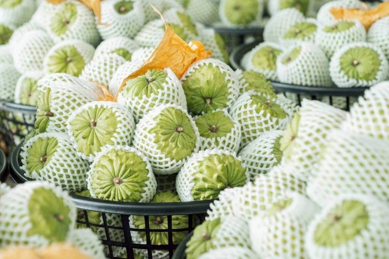 台東縣政府推動鳳梨釋迦海外通路行銷，連續3年深耕新加坡市場，累計銷售量已突破1萬6000公斤，115年1月再度赴新加坡辦理超過百場的試吃導購活動，擴大銷售規模。（台東縣政府提供）中央社記者李先鳳傳真　115年2月1日