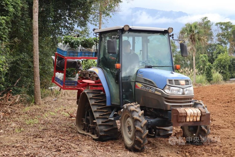 茶農林和春有機械工程背景，跟日本公司合作研發自動茶葉採收機，他操作機械，能鬆土、挖洞、植苗、覆土等，大幅節省人工。中央社記者李先鳳攝　115年2月1日