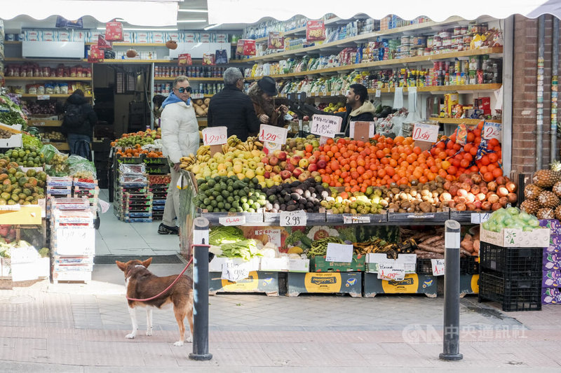 受到就業市場復甦及國內消費與投資力推動，西班牙2025年經濟成長率達到2.8%，連續5年維持成長趨勢，為2026年帶來正面的經濟前景。圖為馬德里市中心一家蔬果店，上門消費的客人絡繹不絕。中央社記者胡家綺馬德里攝 115年2月1日