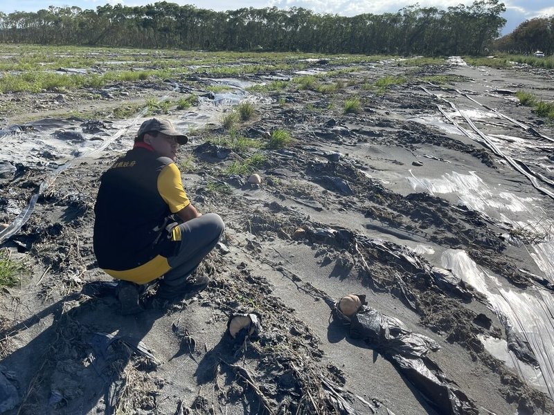 馬太鞍溪堰塞湖洪災造成多處農田淹埋，經花蓮縣政府爭取，農業部訂定專案休耕計畫，納入115年「農糧產業調整與轉型計畫」（原綠色環境給付計畫）辦理。專案休耕給付6日截止。（花蓮縣政府提供）中央社記者李先鳳傳真　115年2月2日
