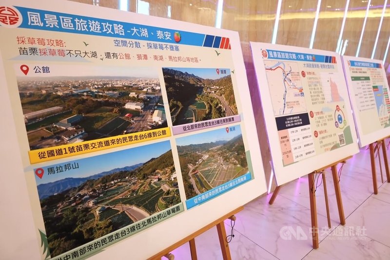 交通部公路局3日發布115年苗栗地區春節交通疏運指南，針對熱門的大湖草莓季，建議民眾盡量採取「時間與空間分流」策略，避開尖峰時段及地區。中央社記者管瑞平攝　115年2月3日