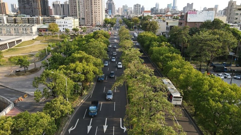 森林城市協會指高雄捷運黃線粗暴損毀5公里長的林蔭大道，盼市府協助護樹。對此，捷運局說明，黃線沿線樹木移植及植栽調整，均依循「道路交通安全與施工安全」標準，涉及樹木移除或移植，都是經由專業評估才謹慎執行。（森林城市協會提供）中央社記者林巧璉傳真　115年2月3日