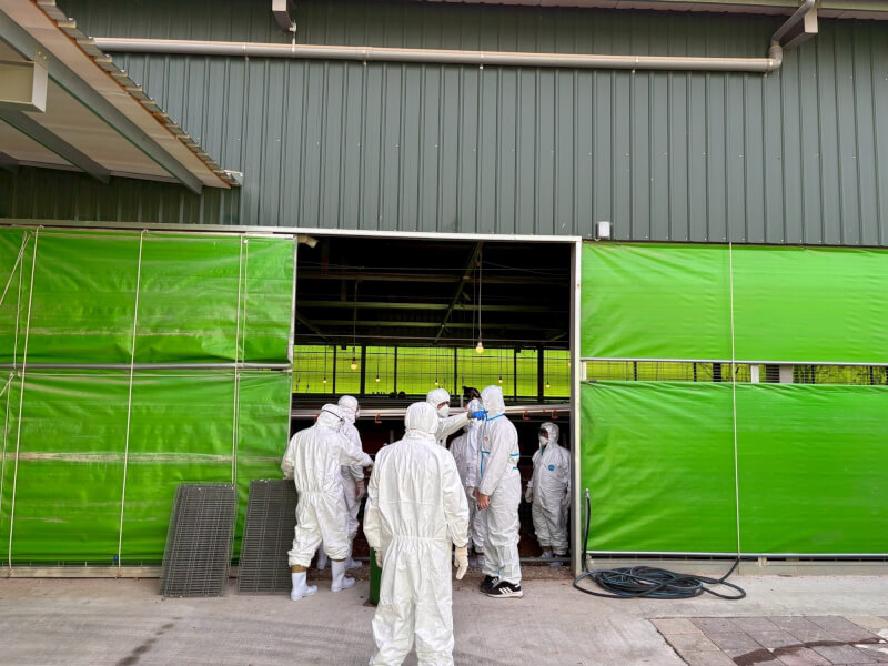 台中市豐康牧場雞隻確診禽流感，業者涉丟棄斃死雞。圖為台中市政府派防疫人員到蛋雞場依法撲殺全場雞隻。（台中市政府提供）
