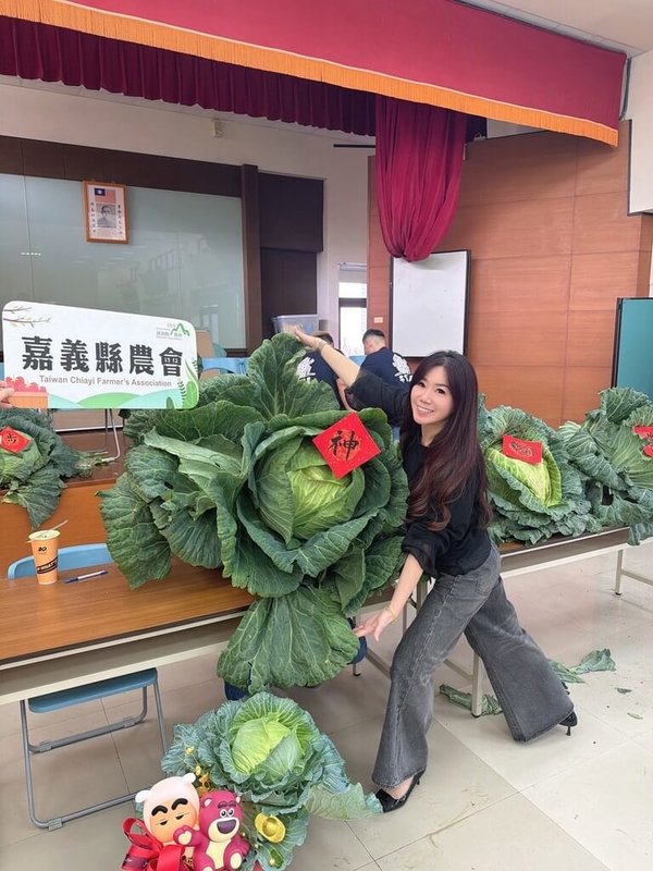 嘉義縣農會3日舉辦「嘉義青農農業技術競賽-巨大高麗菜決賽」,總幹事黃貞瑜(前)說,競賽具體展現嘉義農業紮實的技術底蘊與農民力。(嘉義縣農會提供)中央社記者蔡智明傳真 115年2月3日