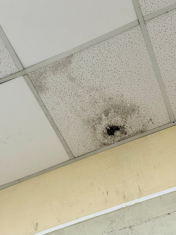 守護校園食安，食藥署稽查校園團膳，4日公布結果，除3家業者GHP複查不合格，其餘均符合規定。圖為不合格業者作業區牆面天花板不潔。（食藥署提供）中央社記者沈佩瑤傳真　115年2月4日