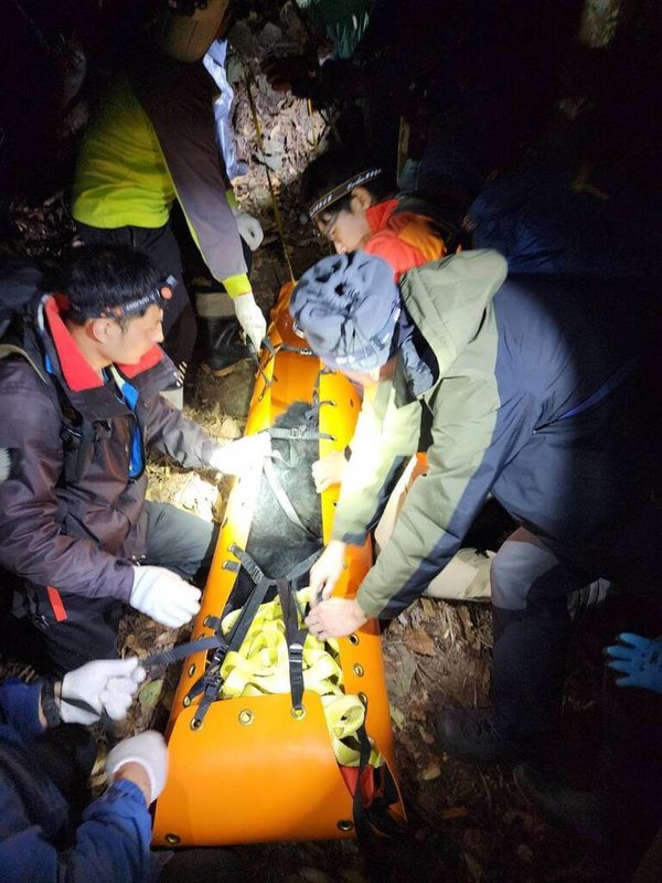 苗栗縣泰安鄉司馬限林道19.5公里下邊坡處，日前發現1隻台灣黑熊受困陷阱，農業部林業及自然保育署新竹分署啟動跨機關成功救援。（林保署新竹分署提供）中央社記者管瑞平傳真　115年2月6日