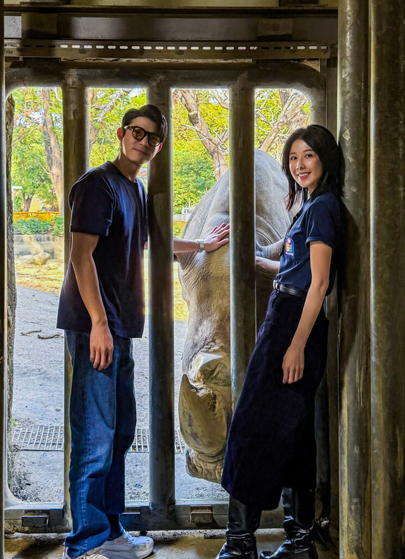 演員王柏傑（左）和邵雨薇（右）7日出席影集「動物園」VIP專屬粉絲見面會，他們與拍戲時的白犀牛重逢，熟悉的默契依舊。（南瓜電影有限公司提供）中央社記者洪素津傳真　115年2月7日