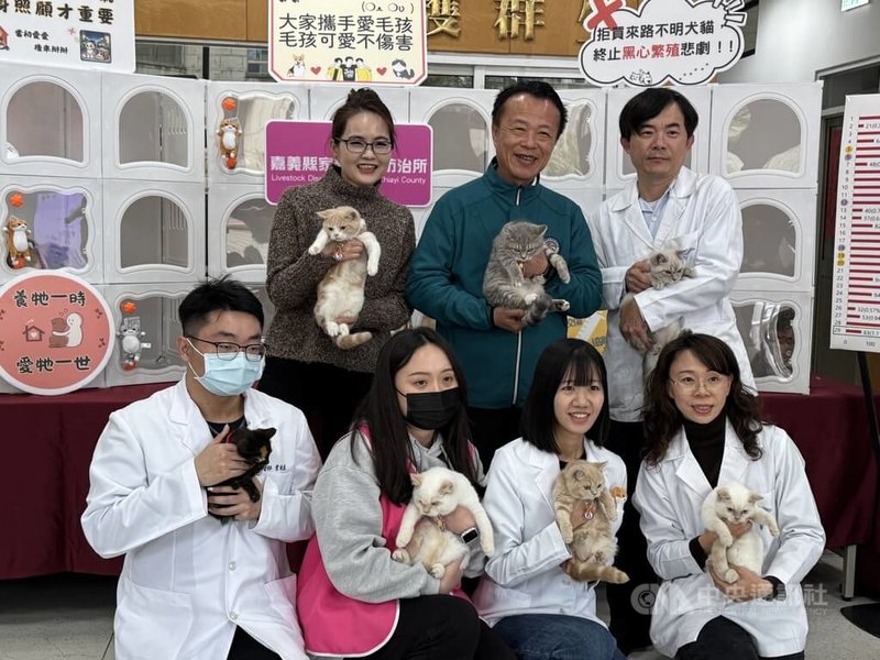 嘉義縣家畜疾病防治所8日進行「喵星人命定配對」認養抽籤，為去年底沒入的非法繁殖品種貓及緊急救援的混種貓找新家，4400人具抽籤資格，嘉義縣長翁章梁（後排中）抽出29名「貓奴」，中籤率約0.65%。　中央社記者姜宜菁攝　115年2月8日