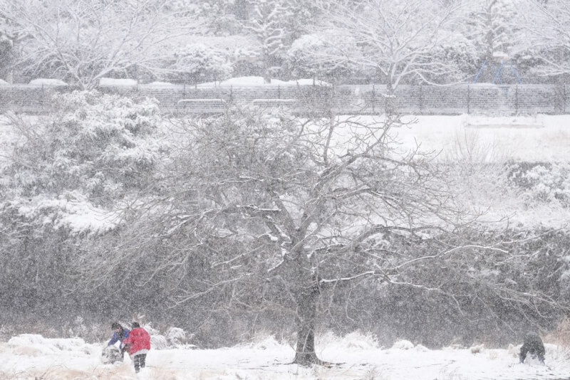民眾8日在神奈川縣橫濱玩雪。（美聯社）