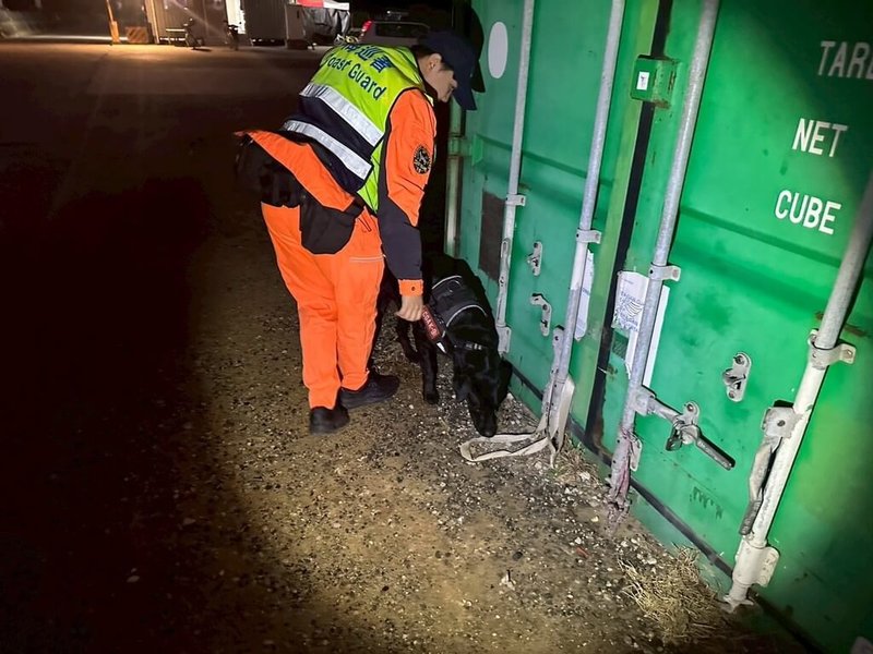 海巡署第十二巡防區指揮部10日展開「115年春節前夕擴大威力掃蕩」，動員巡防艇、偵蒐犬等，並運用各項應勤及紅外線熱影像等裝備巡查金門海域、海岸，針對治安熱點巡緝發掘不法。（海巡署金馬澎分署提供）中央社記者吳玟嶸傳真　115年2月10日