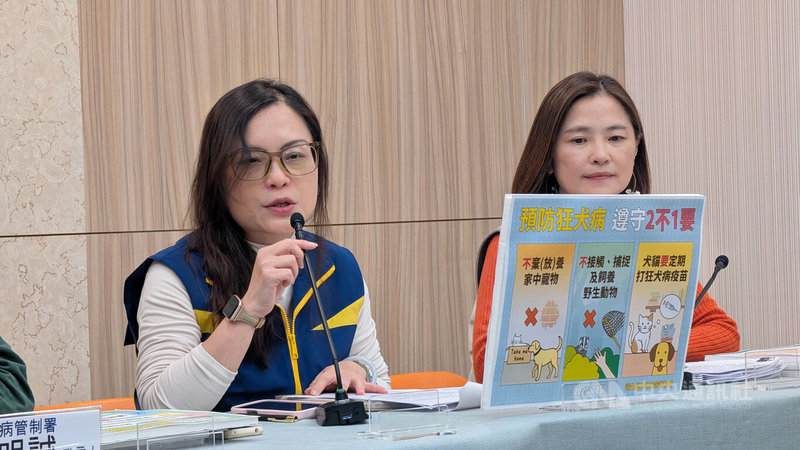 農業部動植物防疫檢疫署科長許家寧（左）10日表示，國內持續監測野生動物狂犬病疫情，民國112年至115年共監測2597件，確診件數137件；今年已有13件鼬獾確診案例，與往年相比未顯著增加。中央社記者曾以寧攝　115年2月10日