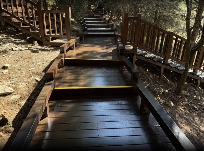 雪霸國家公園管理處13日指出，觀霧遊憩區「雲霧步道」修繕工程已全數完工，14日起全線開放。（雪管處提供）中央社記者管瑞平傳真　115年2月13日