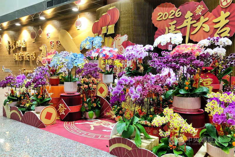 桃園國際機場公司推出「馬上啟程」旅途祝福計畫，旅客可於第二航廈接機大廳木質牆旁及報到大廳服務台周邊等區域，掃描QR Code上傳照片並寫下祝福文字，前5000名可獲得實體明信片寄送服務。中央社記者吳睿騏桃園機場攝　115年2月14日