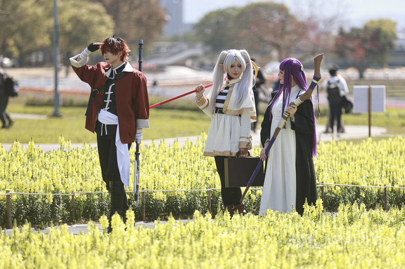 2026台北古亭河濱公園花海春節期間陸續綻放，14日有coser到場取景拍攝，繽紛花景與角色造型相互映襯。中央社記者鄭清元攝　115年2月14日