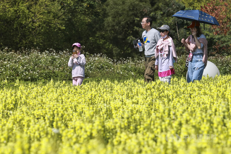 中央氣象署表示，小年夜天氣穩定，各地大多為晴到多雲。圖為民眾到古亭河濱公園踏青賞花。中央社記者鄭清元攝　115年2月14日