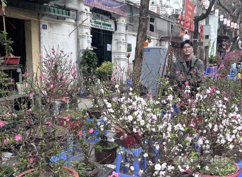 幫父親在老街區花市顧攤的阿維告訴中央社，鮮花是越南春節的重要傳統，北部以桃花為主，南部則是黃梅花。越南人相當看重此習俗，會認真採購花卉。中央社記者曾婷瑄河內攝　115年2月15日