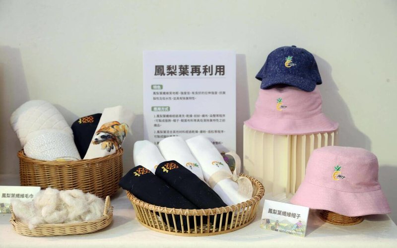 鳳梨是台灣全年都可供應的水果，目前還成為紡織品的原料，從美味到生活美學，已可做到全株利用。（農業部提供）中央社記者汪淑芬傳真　115年2月16日