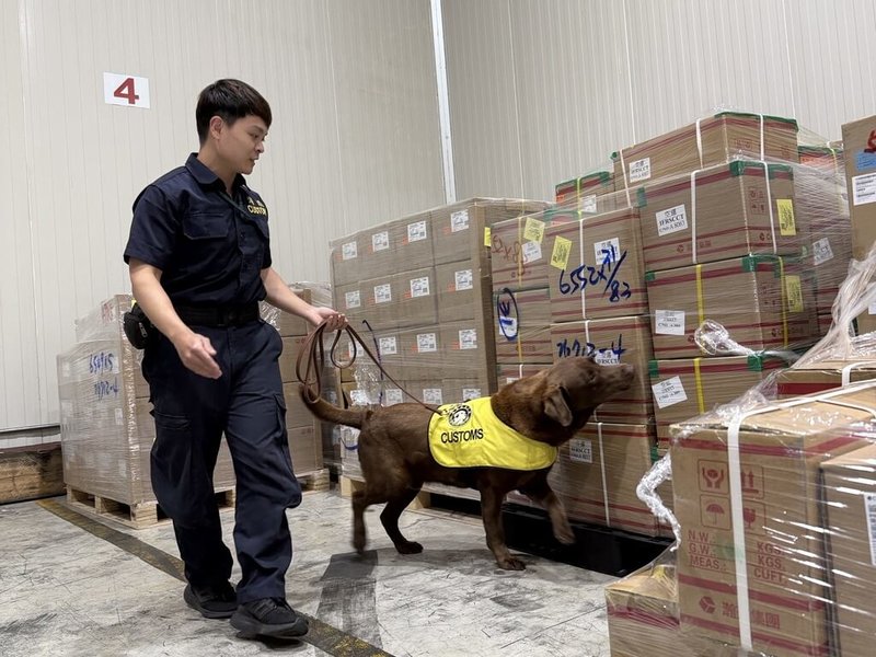 緝毒犬Rafa與領犬員執行勤務與就地訓練。（財政部關務署提供）中央社記者呂晏慈傳真　115年2月17日