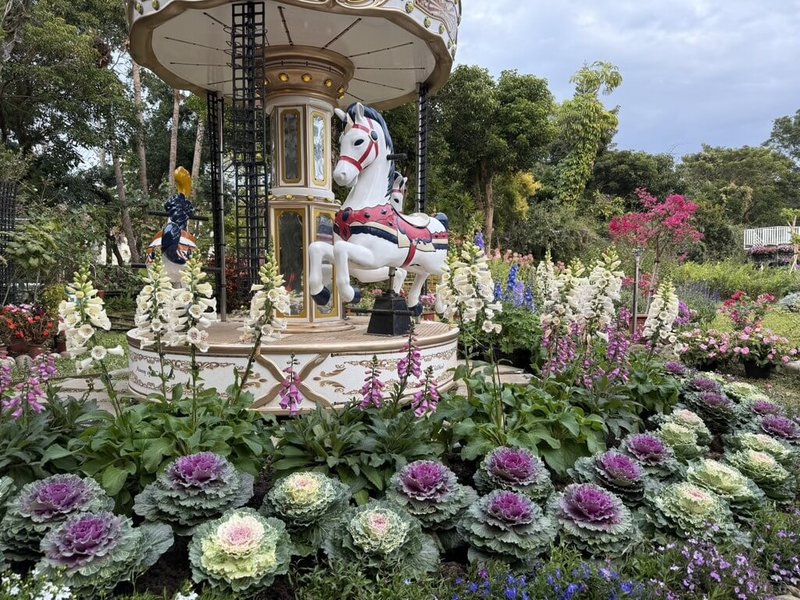 苗栗縣政府整合縣內農村再生成果，推出以白沙屯為核心的「白沙聖域」農遊軸線，串聯海線信仰聚落與山線休閒農業區，結合祈福、慢遊與農村體驗，是年節走春的新選擇。圖為卓蘭壢西坪休閒農業區內休閒農場。（花露農場提供）中央社記者管瑞平傳真　115年2月17日