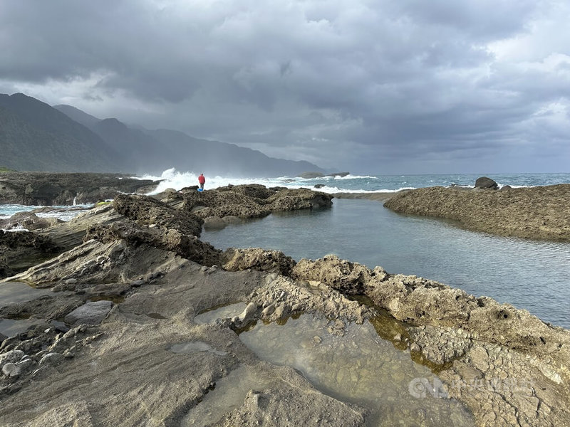 花蓮石梯坪是花東海岸少數幾處形成珊瑚礁海岸，蘊藏豐富生態，其中包含珍貴的「海中玫瑰」硨磲貝，當地漁民並串聯相關單位成立復育試驗基地。中央社記者李先鳳攝　115年2月18日