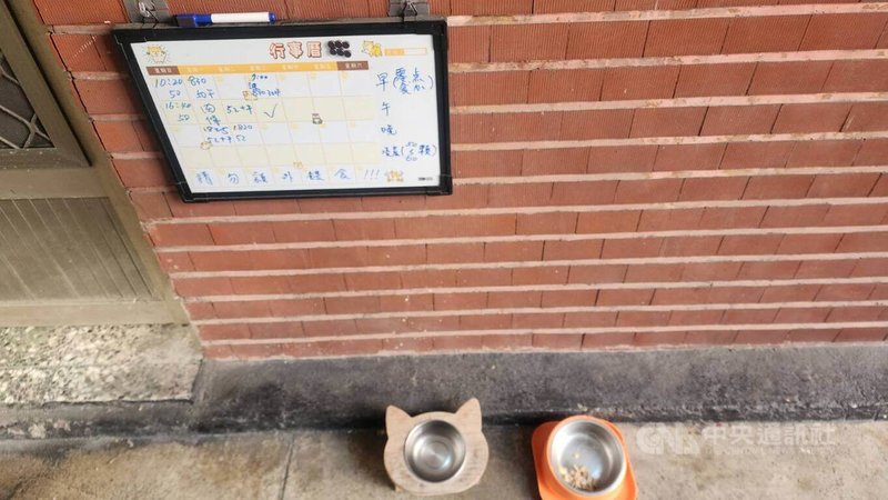 高雄刑警大隊收留一隻可愛的黑色流浪貓「黑豹」,在員警們悉心照顧下,成為高雄刑大首位吉祥物代表。大家為了怕黑豹過胖,甚至設置餵食行事曆,避免被過度餵食。中央社記者洪學廣攝 115年2月19日