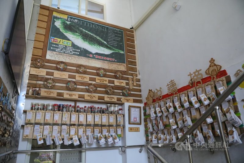 高雄市內門區金竹國小通往二樓校長室樓梯轉角牆面，展示金竹國小推行特色教育的豐富成果，包含畫作、閱讀週記卡組成的「閱讀牆」，及掛滿提琴班外出表演而獲得的「勳章」。中央社記者張已亷攝　115年2月20日