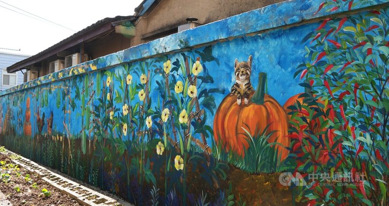 苗栗縣三義鄉勝興社區發展協會與失親兒基金會合作，由藝術家帶領孩童彩繪舊圍牆，畫出客庄生活。中央社記者王揚宇攝　115年2月20日
