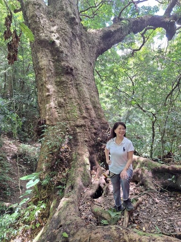 農業部林試所副所長吳孟玲說，若興建風雨操場是北市校園重要措施，就要做整體規劃，教育局、專家必須介入，讓蓋建築與綠覆率綁定一起。（林試所副所長吳孟玲提供）中央社記者楊淑閔傳真　115年2月21日