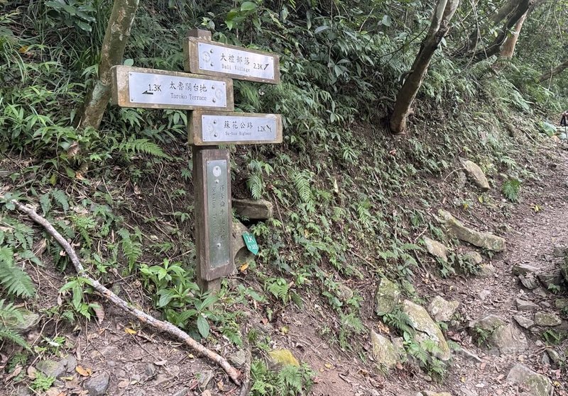 位於太魯閣國家公園內的大同大禮部落，是只能步行前往的深山部落，沿途步道一度因0403強震受損，經修復後已恢復通行。中央社記者張祈攝　115年2月22日