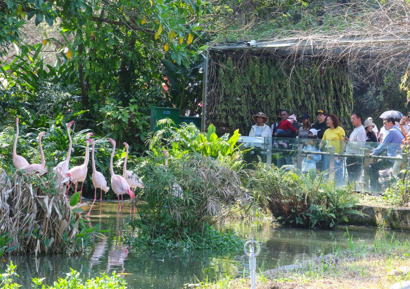 農曆春節假期收假日，22日不少民眾把握好天氣，選擇造訪台北市立動物園。中央社記者謝佳璋攝  115年2月22日