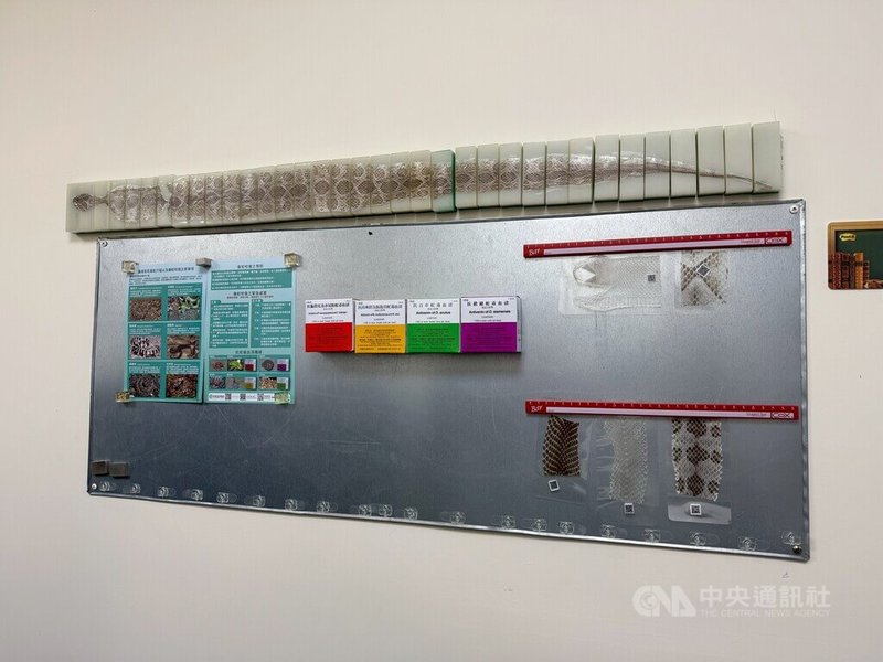 疾管署是目前國內唯一具有4種抗蛇毒血清藥證的機構,供應約195家醫療院所儲備抗蛇毒血清。中央社記者沈佩瑤攝 115年2月23日