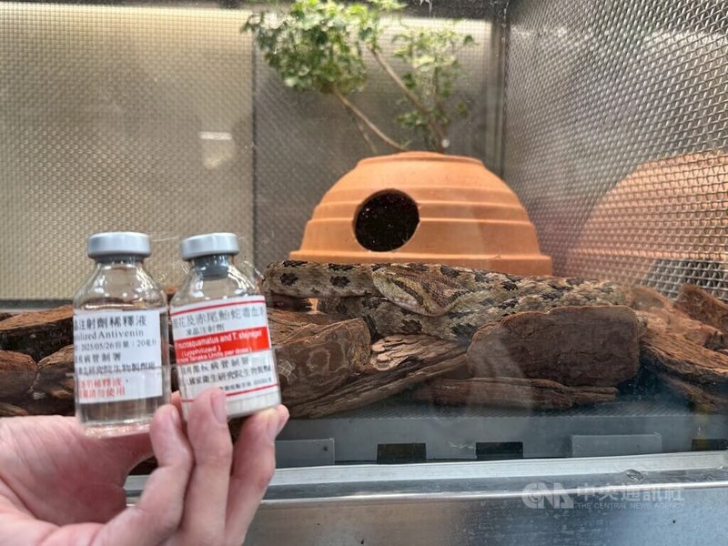 衛生福利部疾病管制署早在日治時期就開始投入抗蛇毒血清製造至今，要製作抗蛇毒血清，最關鍵的步驟就是取蛇毒。中央社記者沈佩瑤攝　115年2月23日