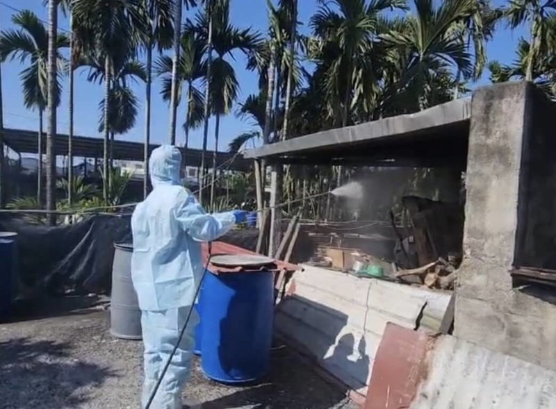 屏東佳冬鄉一間養豬場向種鴨場回收小公鴨，並至菜市場撿取菜葉、肉塊等作為廚餘餵食豬隻，縣府稽查違規事實明確，除裁罰外，也進行清消。（屏東縣政府提供）中央社記者李卉婷傳真　115年2月23日